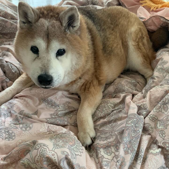 2a16cc14 56b8 46a0 8948 9c7ffd12df5c 1650236194816