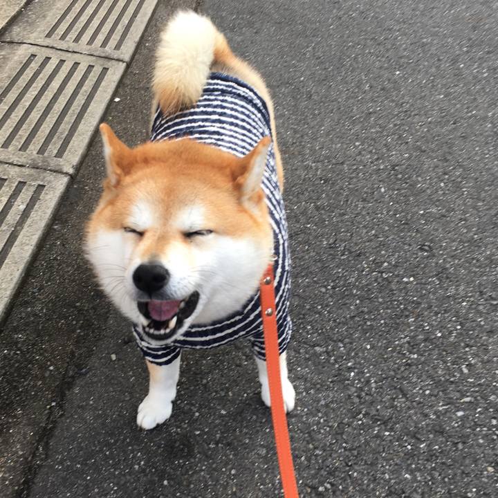 2a172f7c 32fa 421f b02e f05e8312e805 1576023072918