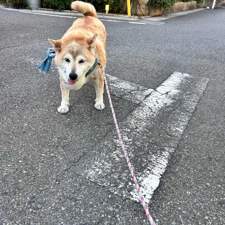 2a173578 bc79 4446 bc28 61ae3e0605de 1753397594381