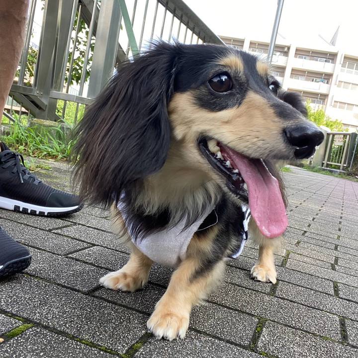 2a173fc8 95e1 4fbf a155 abe726ceae02 1720484064872