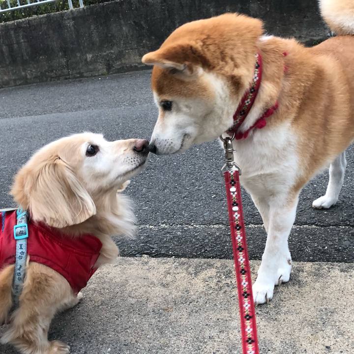 2a17552b 15f1 4974 a2cd 82617ee3a139 1583748295203