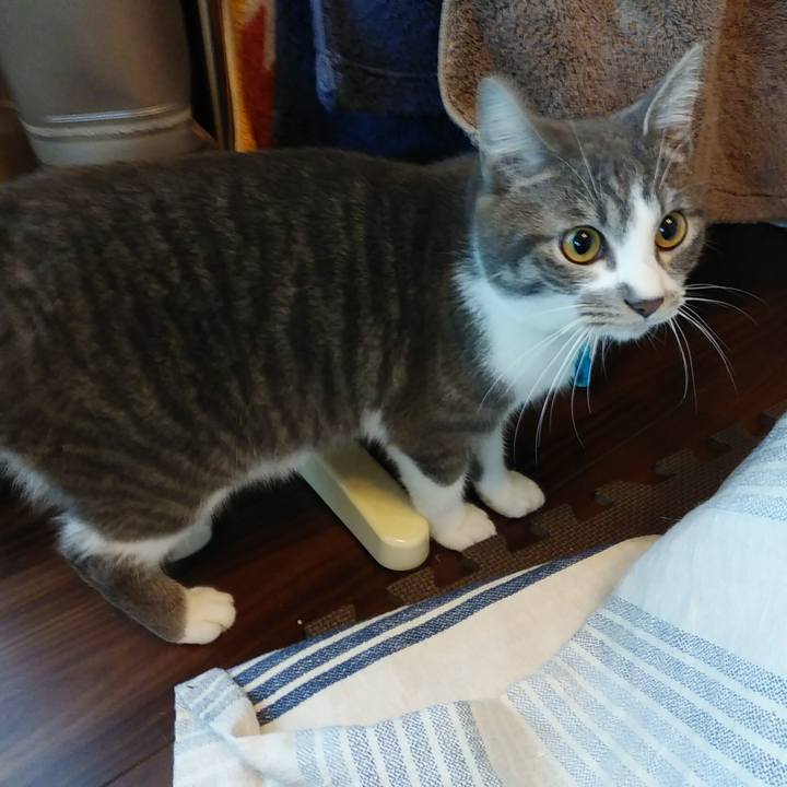 2a177c14 7323 42c8 8101 139cb12fbef5 1575759432093