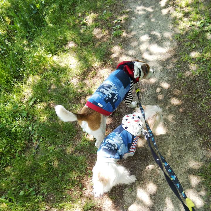 2a17e660 955a 4a1a 915b 301427d331e2 1526106873757