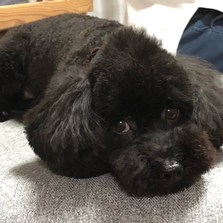 2a17ec42 e323 432b b832 08e84dcd5f42 1597535835301