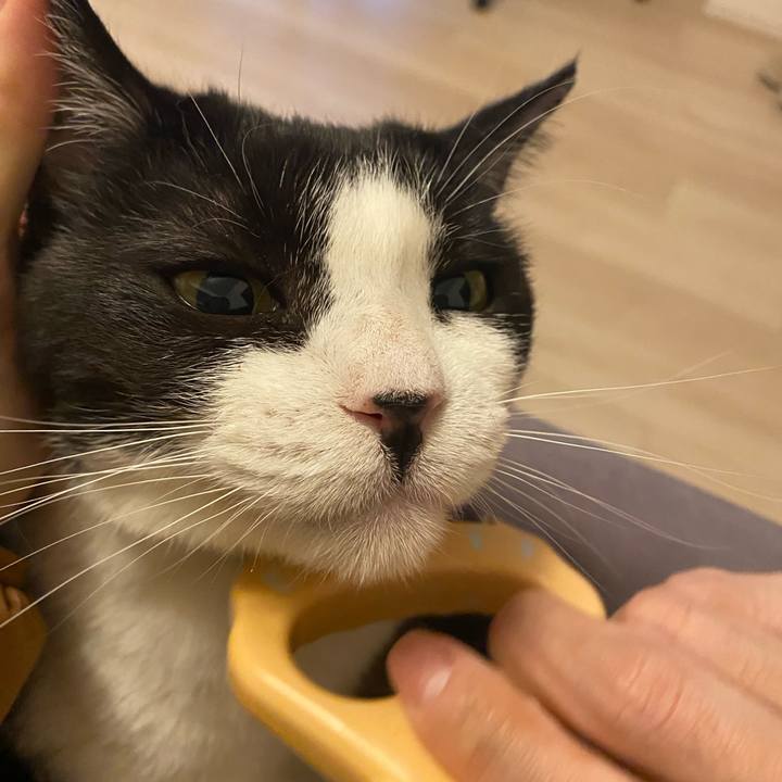 2a183cd6 11b0 4f02 baae 5a0f8ba660c3 1768734352235