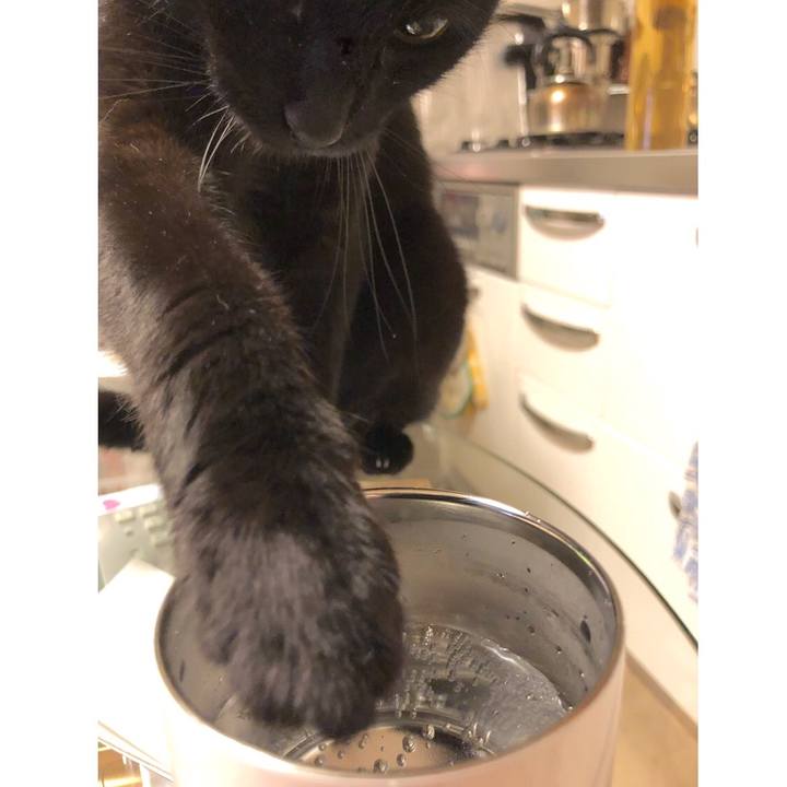 2a1853df c059 43bb acf9 b07073f16751 1562072275702