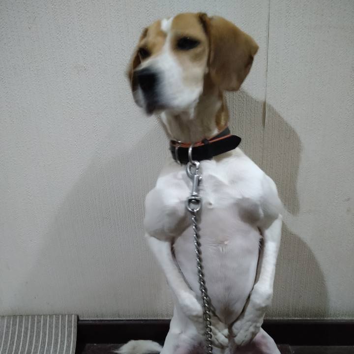 2a186449 27d6 4ea3 93f3 2ac7ee62d38e 1639394364137