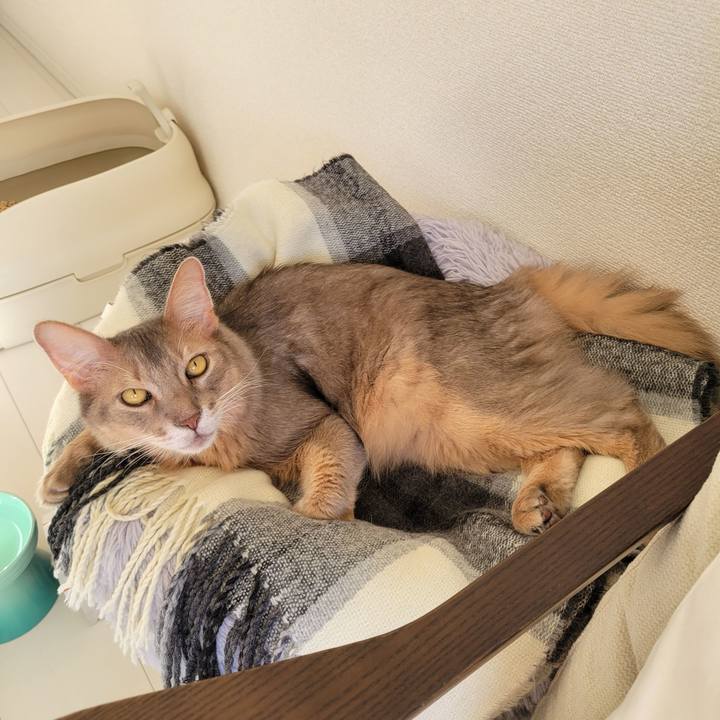 2a1864fb ebcd 43a4 814e b0fb27e3e820 1697954690077