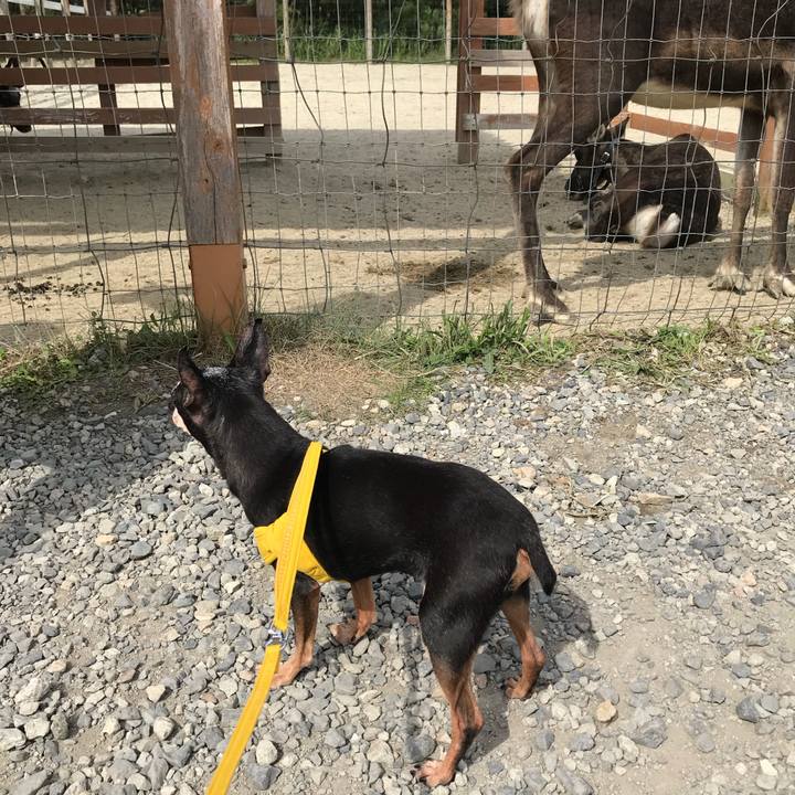 2a187bcf c5b2 4c63 b44b f9e6096694a6 1535282656954