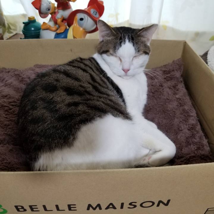 2a18ba35 ffbf 4e3d a460 b2ac6b557eed 1617313392304