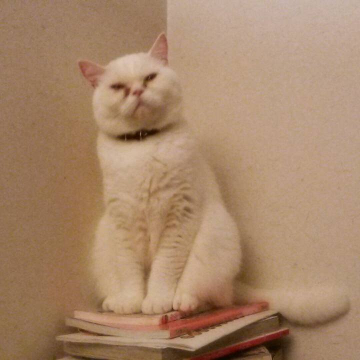 2a18c4ca 7f72 477f 8653 ca0bc0dca14c 1543408616658