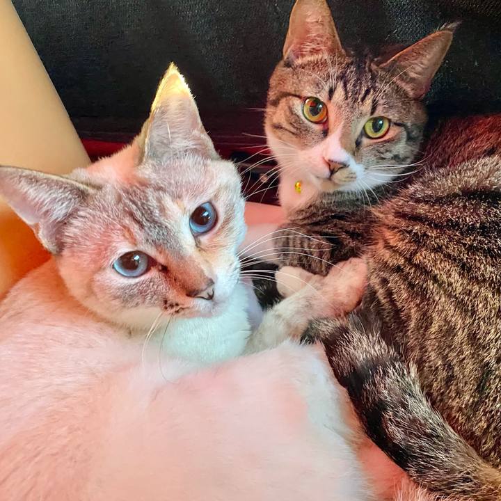 2a18cd92 81cd 42f1 b7e9 211c4e2feb98 1648768606837