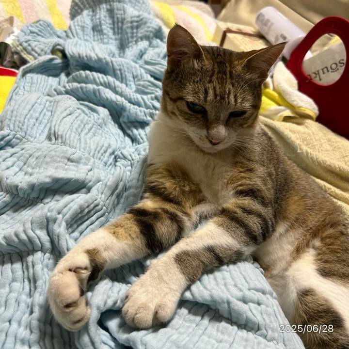 2a18f2c8 0f38 4270 8016 f0aba264cb9d 1751164025445