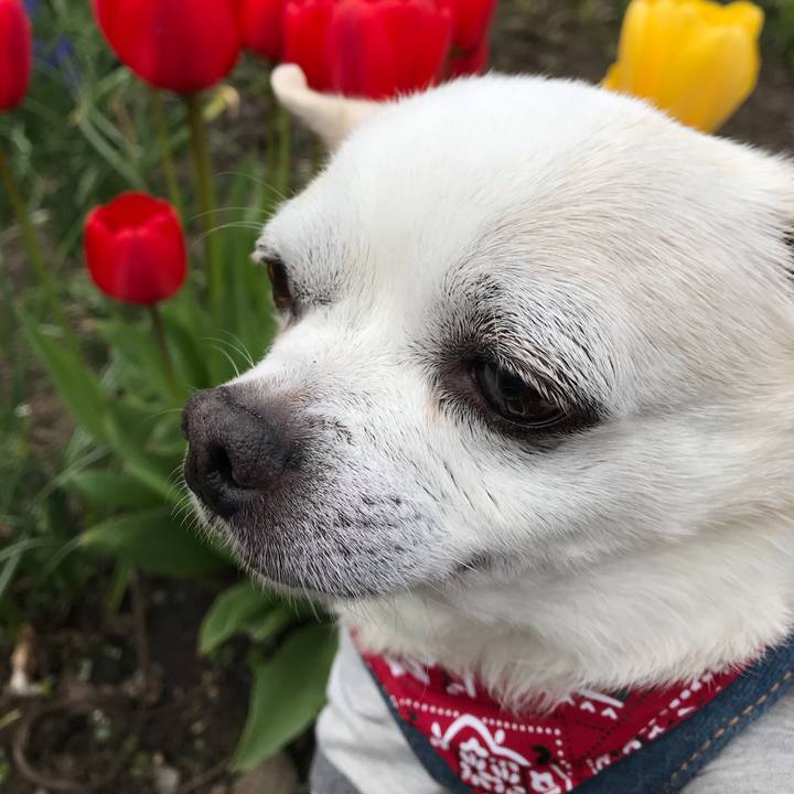 2a19cc66 a060 49ed 83bb a1c0e397d956 1589630289075