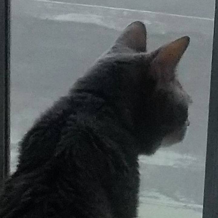 2a19cfde c32c 4fe7 92a8 85c8e041f89b 1699170023828