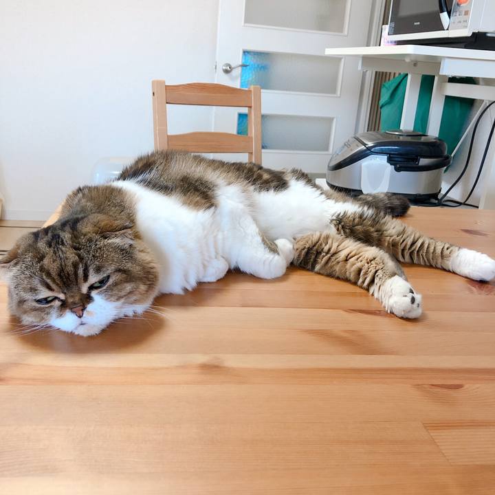 2a19f8ee 6e01 4fe0 a7a8 30d37a8dcd3e 1564888906944