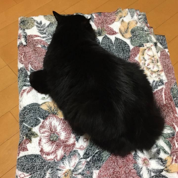 2a1abb25 c2cf 4c72 9c9f 480c507576d8 1529409124379