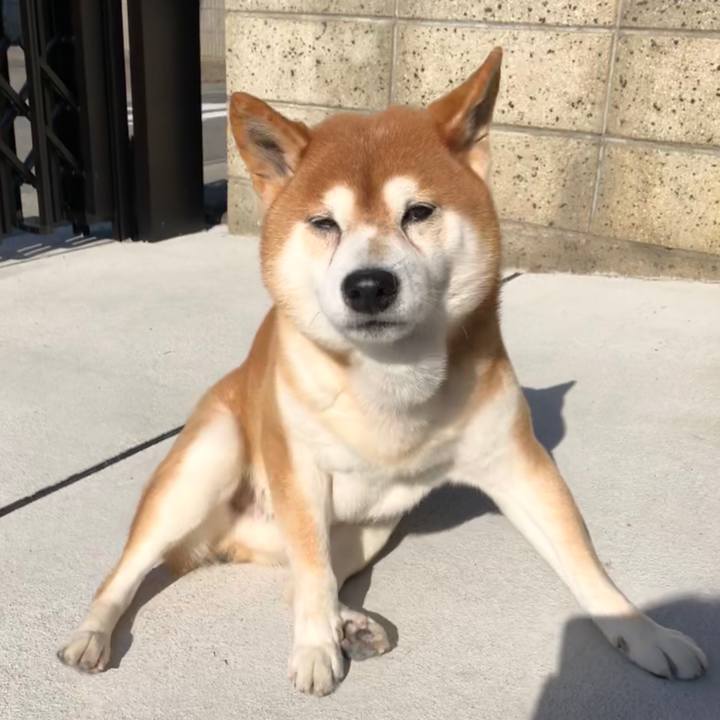 2a1ad521 c3d7 408e b719 ca4dbc94743a 1543131638809