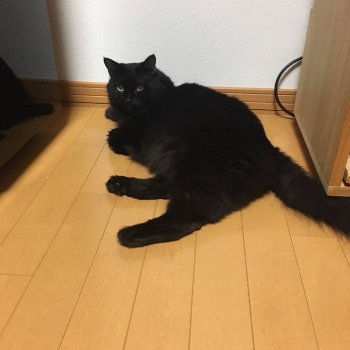 2a1aef22 0395 4896 9742 4fea23cef270 1570033493254