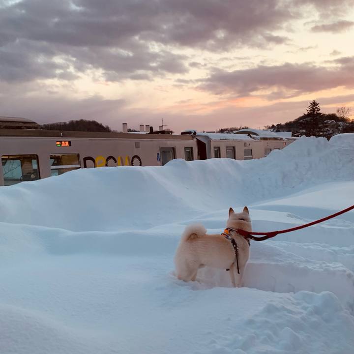 2a1b29b5 dc91 436b 837a 58b063689dd0 1673908115049