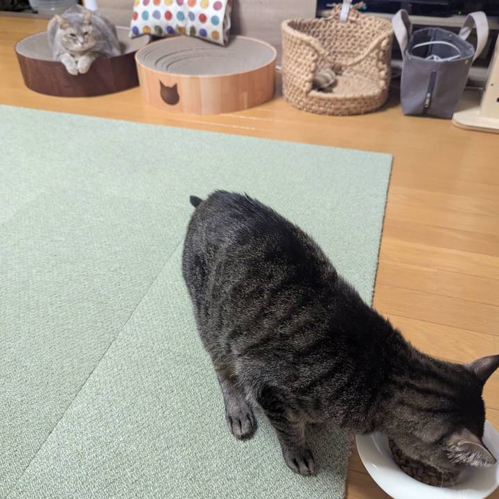 2a1b4041 03f3 49e3 8144 06acfaa6c464 1768299805278