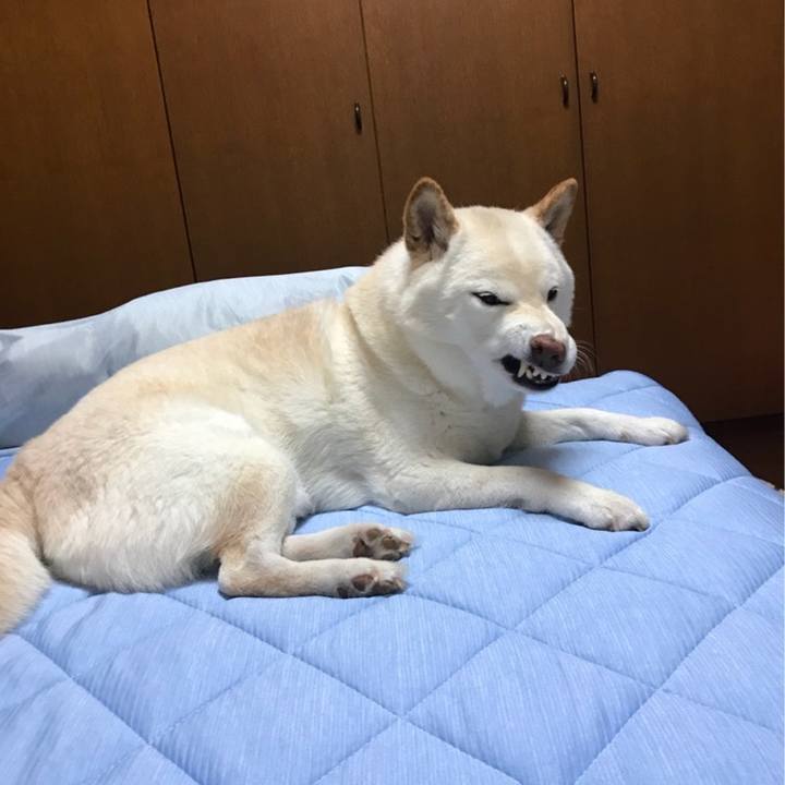 2a1bb5f6 65a3 44c8 8128 c0b7fed1ba18 1647272855494