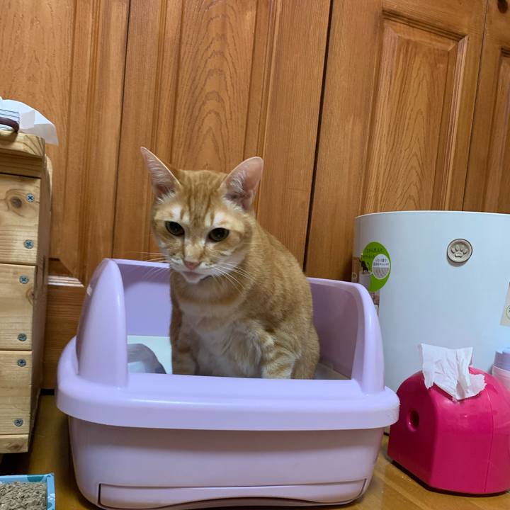 2a1c0f82 3876 44f6 b097 550b93d3062e 1585709647294