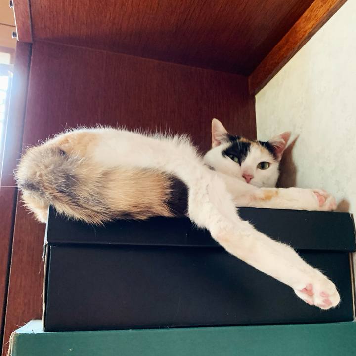 2a1c4bdd 7862 40ef 9ae1 0147148408c1 1598234624642