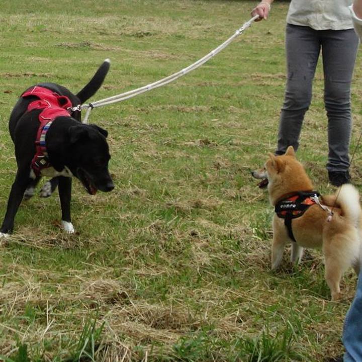 2a1c6c93 45ed 4941 a477 203c2eaf3e0a 1656889485072