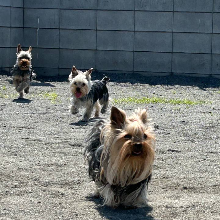 2a1c6d42 3481 4ce9 ac52 0a5a2ca98472 1745736388800