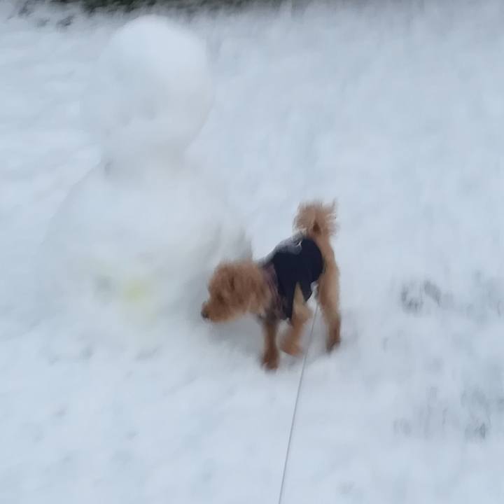 2a1c72b2 fd16 4165 979b d34ce0c01b62 1545091284747