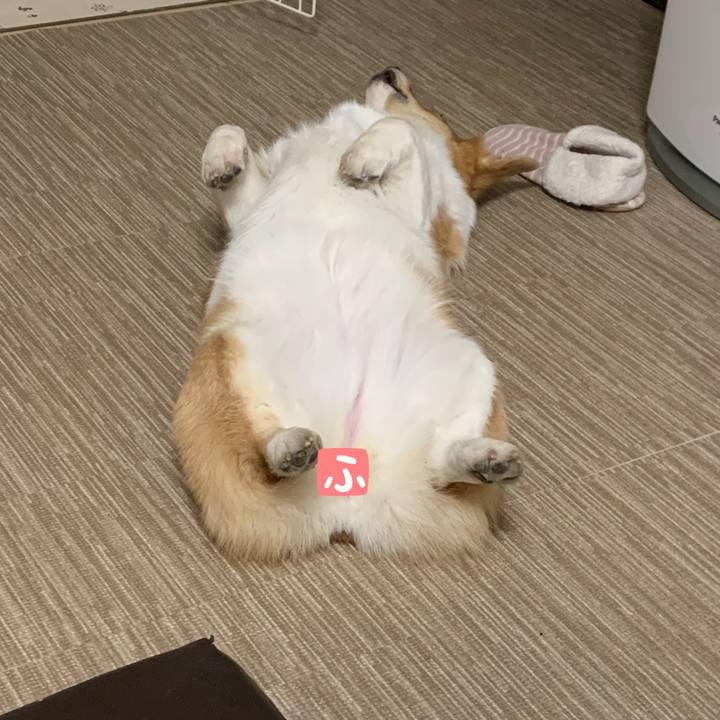 2a1c7575 6a8d 4c38 ba55 75d51e8fef84 1582456542770