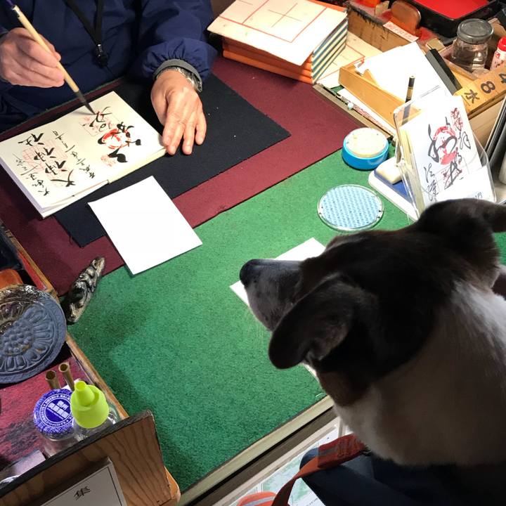 2a1c8e69 42f7 46c0 8502 e26ace4d7055 1520763928863