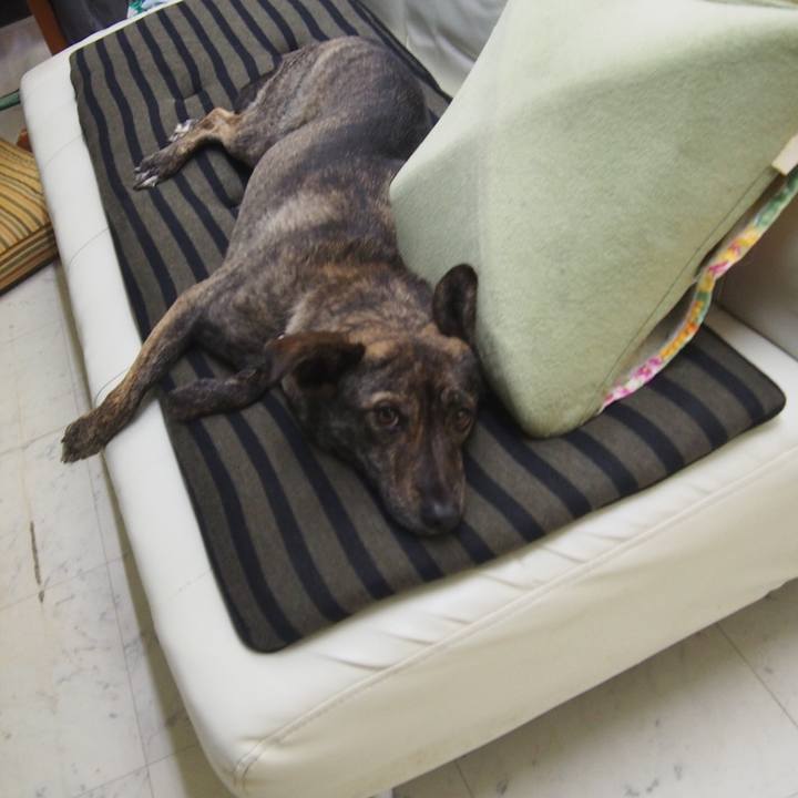 2a1c98e4 d447 42e2 9e7e ea3c9c9bcde3 1546936354528