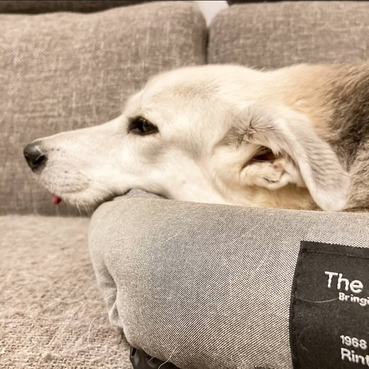 2a1cc560 ff7f 4458 9b72 fd3b176e8d20 1697379505981