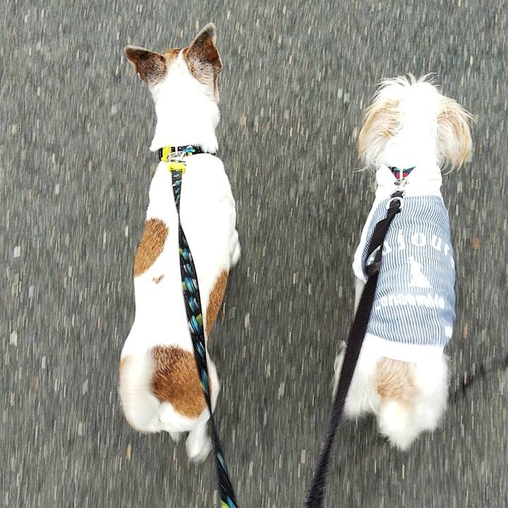 2a1cd415 a92f 40c3 86d6 fb8e01eebc59 1581634002065