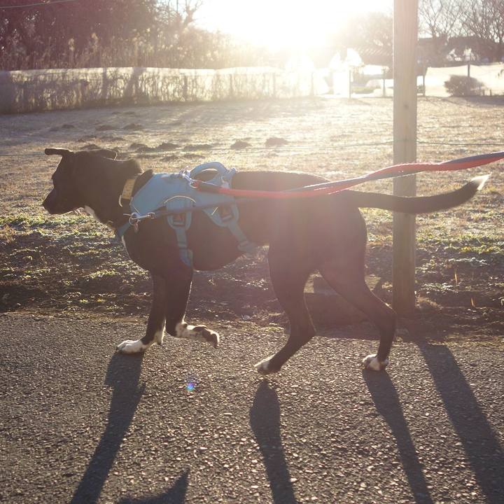 2a1ce5be 9433 41f2 8454 a52b70d3d510 1610236731236