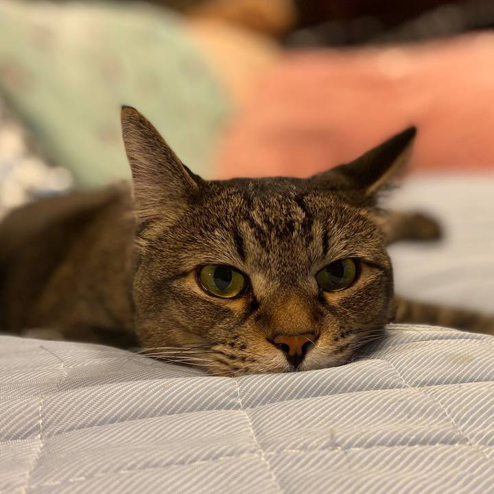 2a1cf1ae 5d60 4d56 86e8 9bf16d94b23d 1595763070137