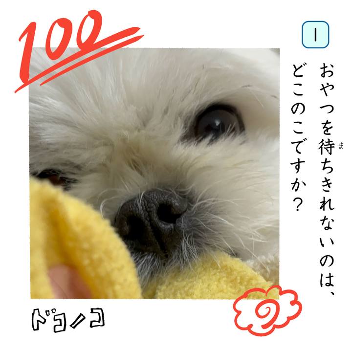 2a1d0d71 65c6 42af 81ac 63ab1d2d6f92 1744251990504