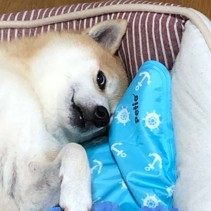 2a1d1835 3dfc 4c8c 82b2 d297f2719989 1564576552355