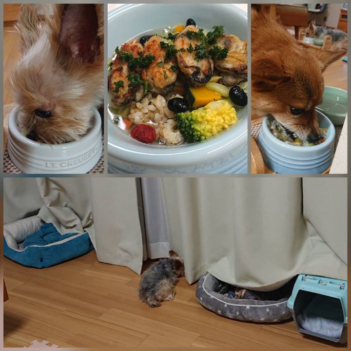 2a1d22c4 2c8b 41c2 855b 6be311c4a85b 1613908363746