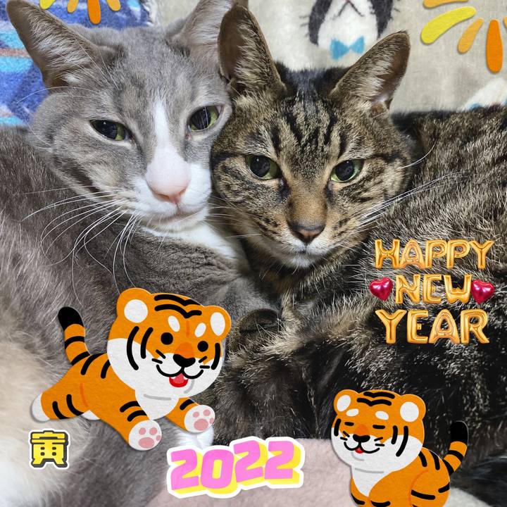 2a1d2549 fe14 4a91 8517 ce4b455dc719 1640881940342