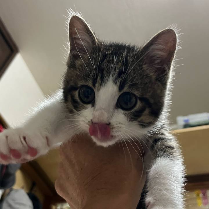 2a1d2f96 d7e7 46b0 a4bb 787112889bd8 1766708198512