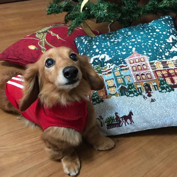 2a1df729 9e9a 4e33 b23d 77d8c8bc6ae0 1544942501609