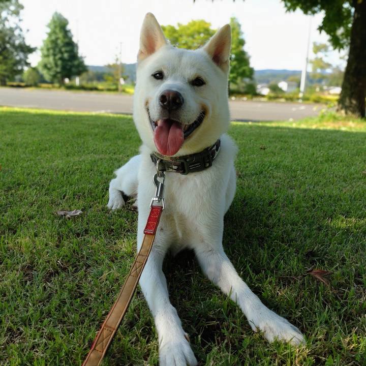 2a1df9aa 8e2d 4cc5 95be 97ad3644879d 1632356699869