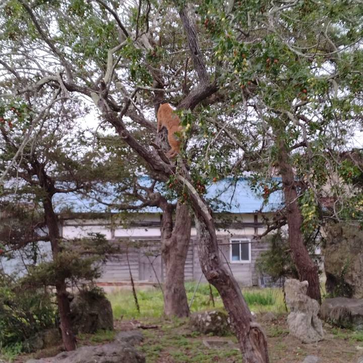 2a1e07a0 6d51 458b 8eb2 f6ae08c4b27f 1664919543432