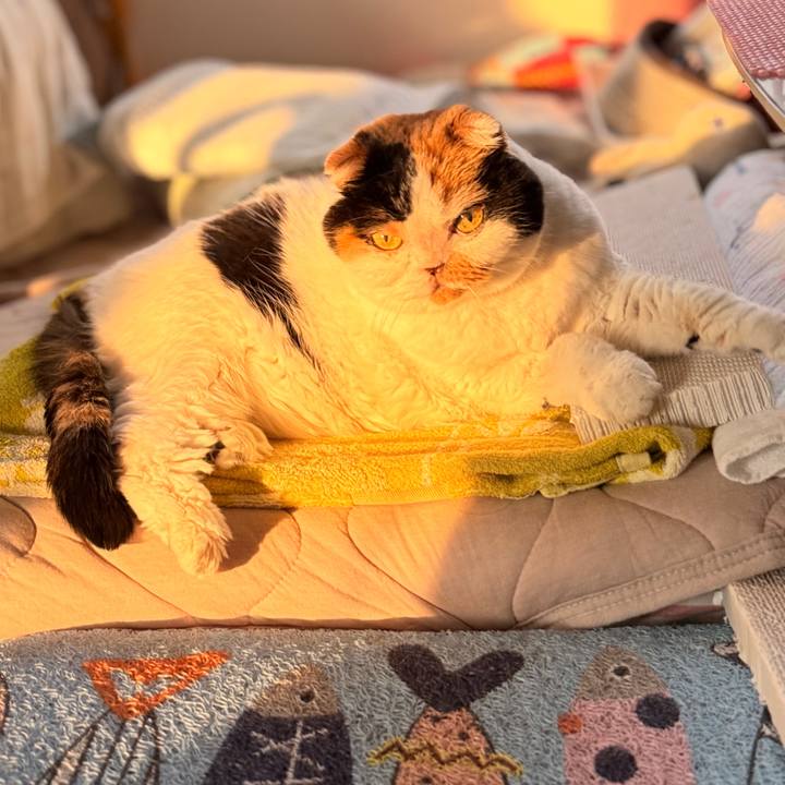 2a1e0d75 82a2 457a ae4b 945a05f18433 1761614604500