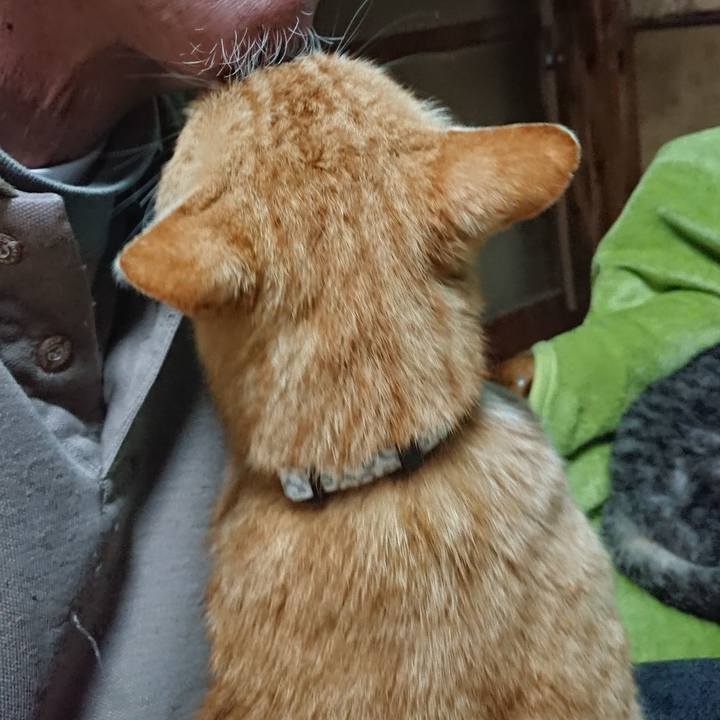 2a1e8743 6573 405d ad2b 2413b267ae38 1587640747254