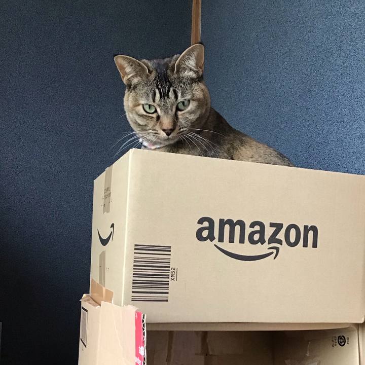 2a1ea7af d75f 40b4 8ec2 0ae4b28d9110 1616651317885