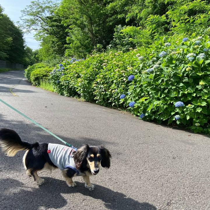 2a1ed5e8 7d74 4a32 9fbe 6bffe702642c 1685228883029